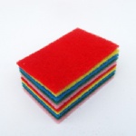 彩色百潔布-10片裝